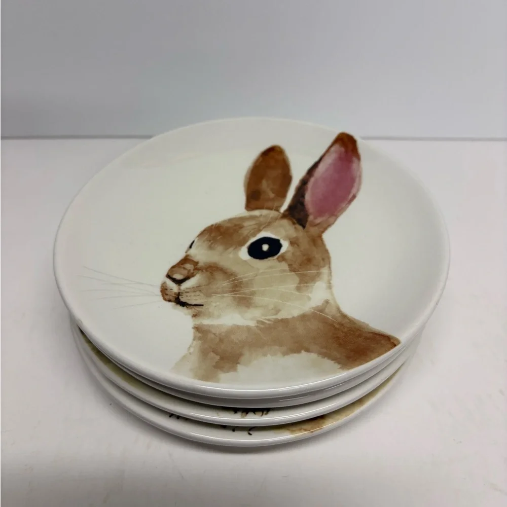 Arlington Designs Easter Bunny dessert appetizer Plates - Set of 4